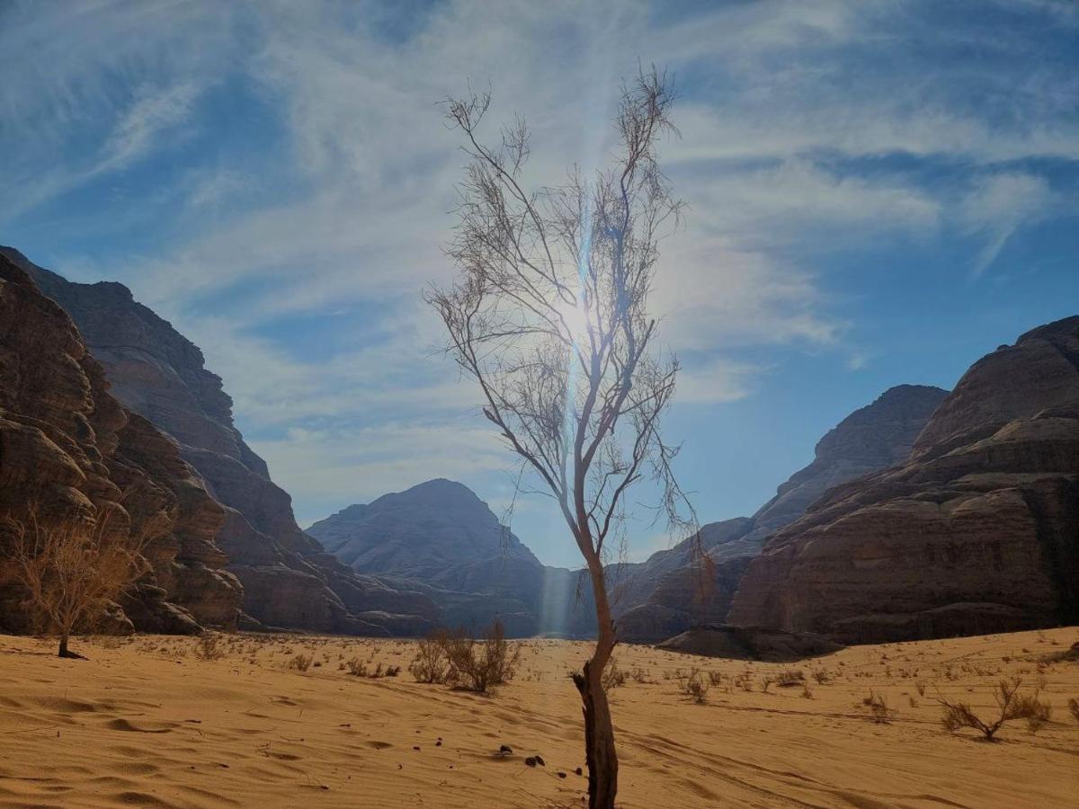Wadi Rum Oscar Camp Exterior foto